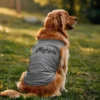 Maghizchi (Black) Dog Tank in Grey Melange Color