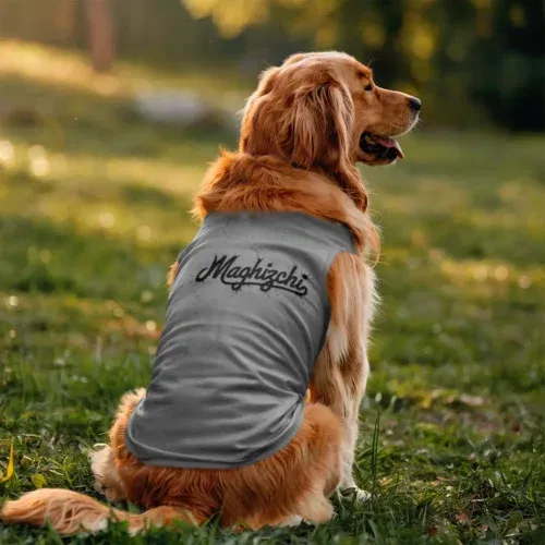 Maghizchi (black) dog tank in grey melange color