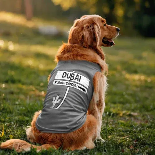 Dubai kuruku sandhu dog tank in grey melange color