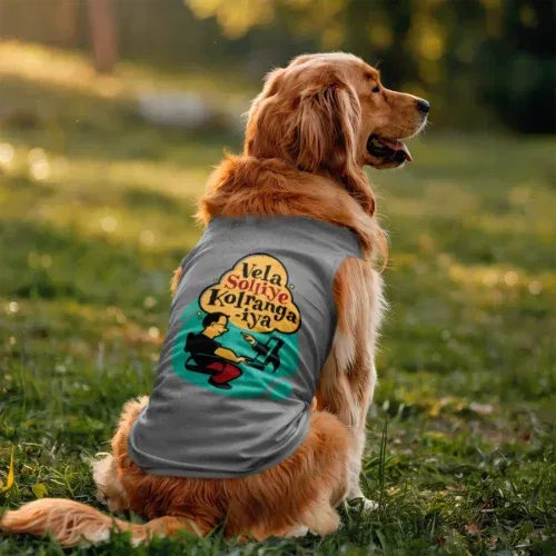 Vela soliye kolrangaiya dog tank in grey melange color