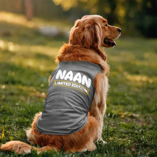 Naan limited edition dog tank in grey melange color