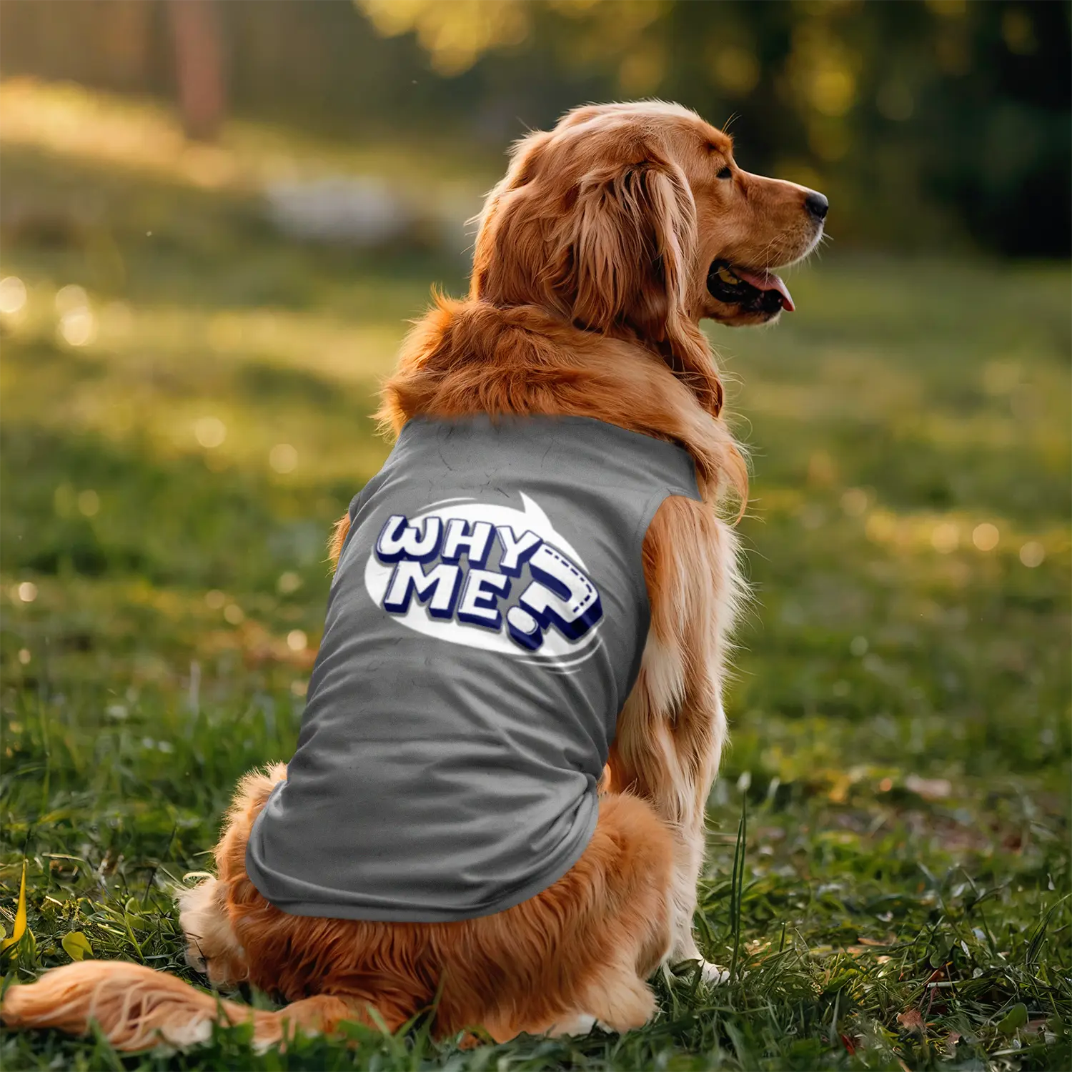 Why me? Dog Tank in Grey Melange Color