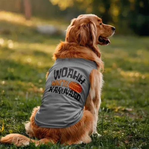 Woahh!! Watte karuvaad dog tank in grey melange color