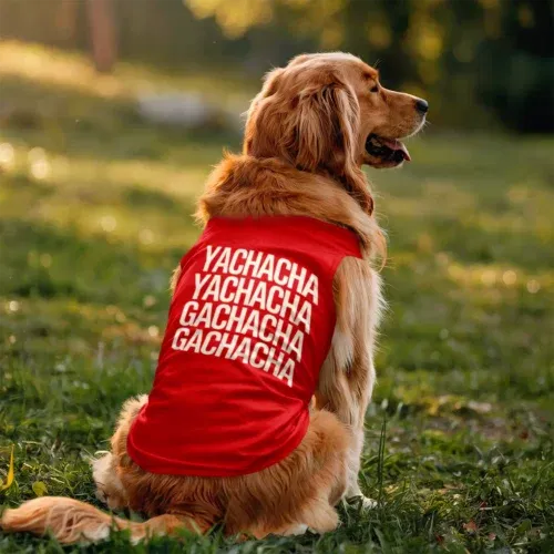Yachacha yachacha, gachacha gachacha dog tank in red color