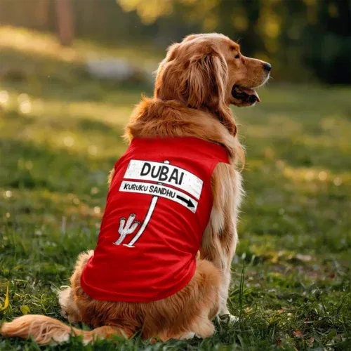 Dubai kuruku sandhu dog tank in red color