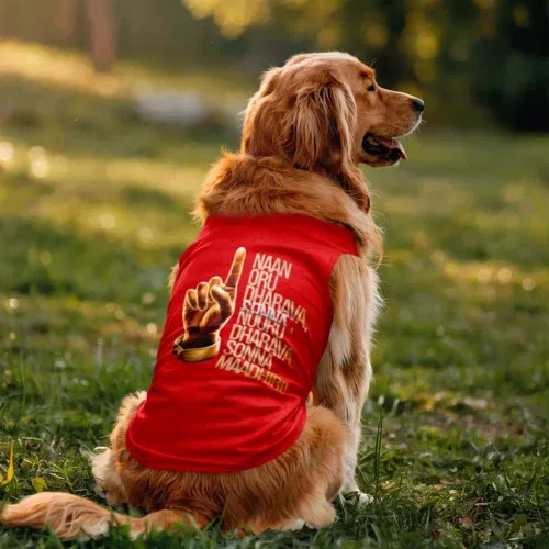 Naan oru dharava sonna, nooru dharava sonna maadhiri dog tank in red color