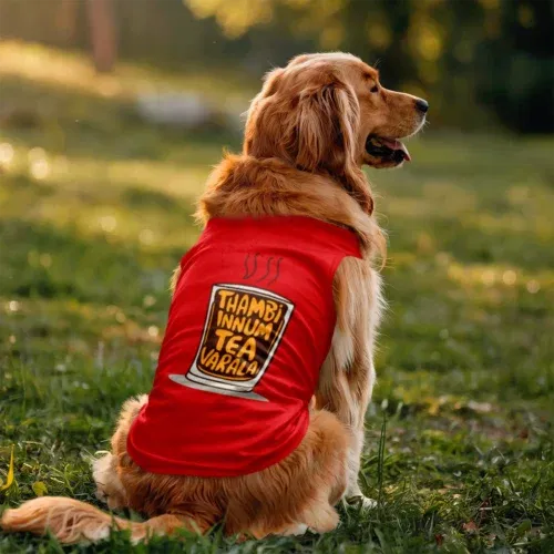 Thambi innum tea varala dog tank in red color