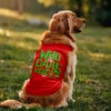 Who Is The Daag Voice Dog Tank in Red Color