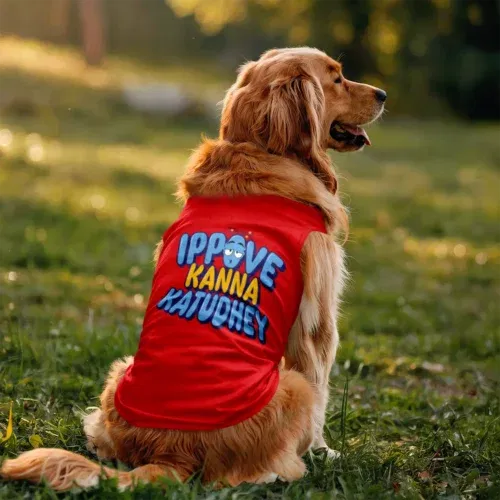 Ippove kanna katudhey dog tank in red color