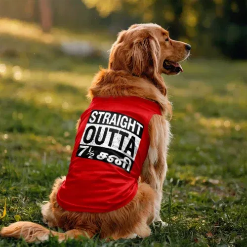 Straight outta 7½ sani - tamil dog tank in red color