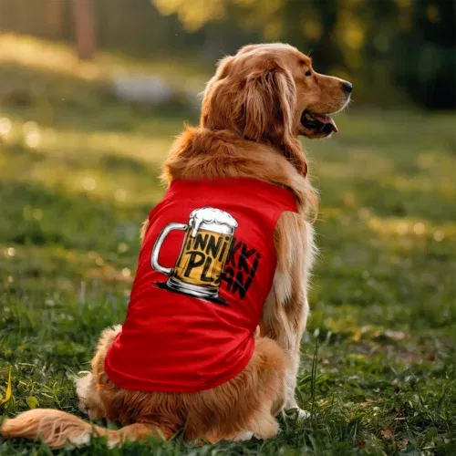 Inniki plan - beer dog tank in red color