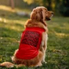 Yachacha Yachacha, Gachacha Gachacha - Black Dog Tank in Red Color