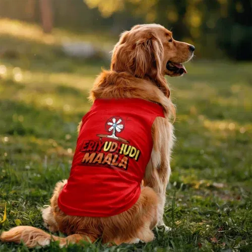 Eriyudhudi maala dog tank in red color