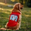 Sodhikkaraangada Dog Tank in Red Color