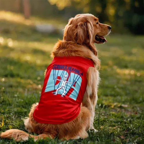 Sodhikkaraangada dog tank in red color