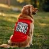 Straight Outta OMR Dog Tank in Red Color