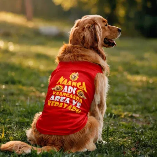 Naanga adi vaangada area ve kedayadu dog tank in red color
