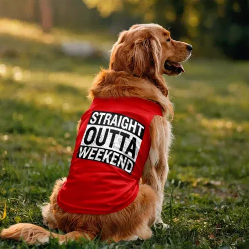 Straight outta weekend dog tank in red color