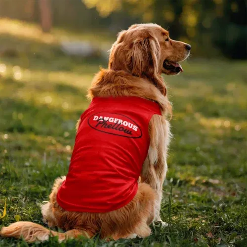 Dangerous phellow dog tank in red color