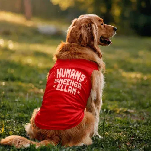Humans ah da neenga ellam? Dog tank in red color