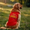 Naan Apudiye Shoooock Aayitten Dog Tank in Red Color