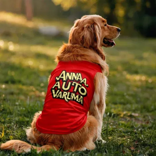 Anna auto varuma dog tank in red color