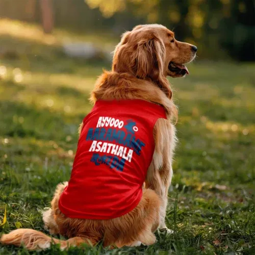 Ayyooo aarambame asathala iruke da dog tank in red color