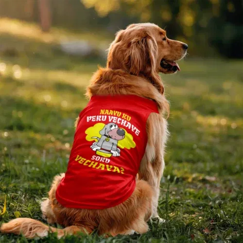 Naayu ku peru vachaye soru vachaye dog tank in red color