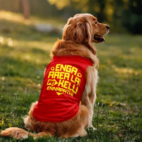 Enga area la pei kelu ennapathi dog tank in red color