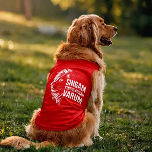 Singam singuladhan varum dog tank in red color