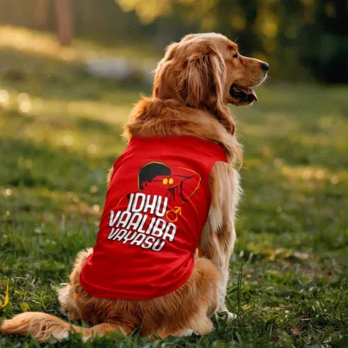 Idhu vaaliba vayasu dog tank in red color