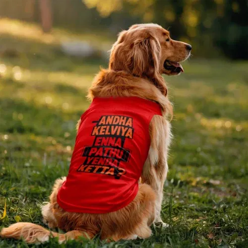 Andha kelviya enna pathu yenda ketta dog tank in red color