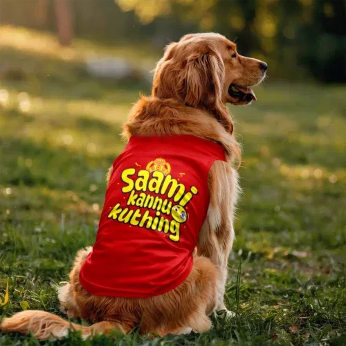 Saami kannu kuthing dog tank in red color