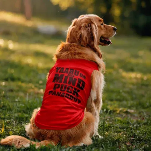 Yaaru da avan mind puck panardu dog tank in red color