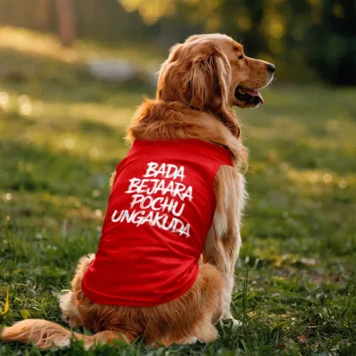 Bada bejaara pochu ungakuda (black) dog tank in red color