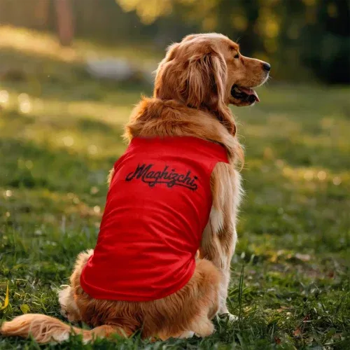 Maghizchi (black) dog tank in red color