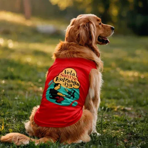Vela soliye kolrangaiya dog tank in red color