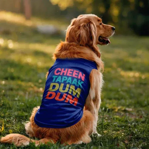 Cheen tapaak dum dum dog tank in royal blue color
