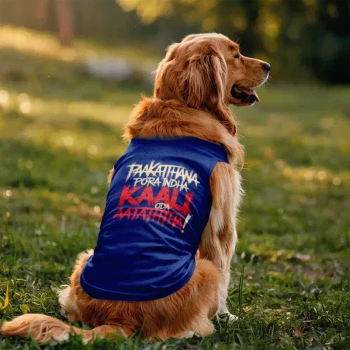 Paakaththana porra indha kaali oda aatatha dog tank in royal blue color