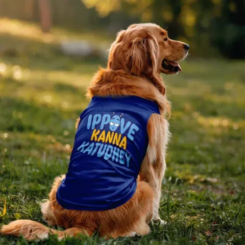 Ippove kanna katudhey dog tank in royal blue color