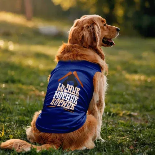 Lochak mochak kochak dog tank in royal blue color