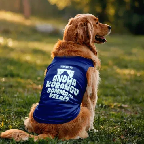 Echuuse me andha korangu bomma ena velai? Dog tank in royal blue color