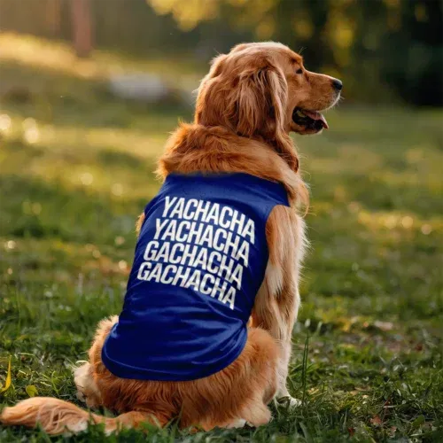 Yachacha yachacha, gachacha gachacha dog tank in royal blue color