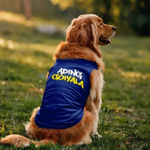 Ading goiyala dog tank in royal blue color
