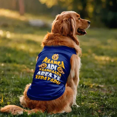 Naanga adi vaangada area ve kedayadu dog tank in royal blue color