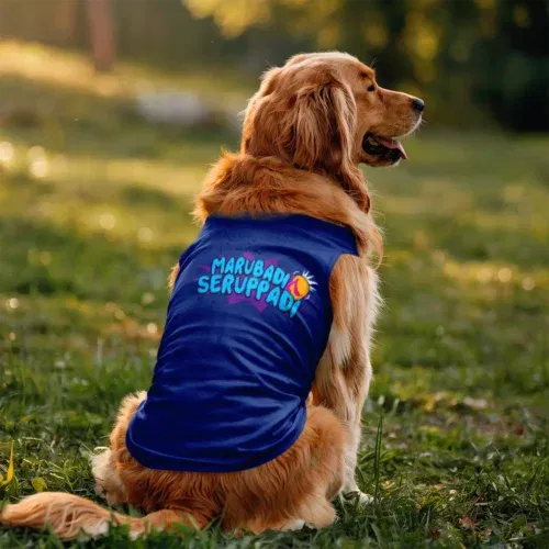 Marubadi seruppadi dog tank in royal blue color