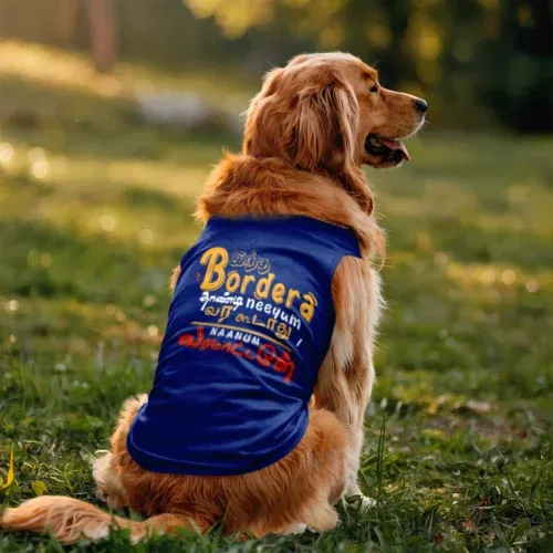 Intha border uh thaandi neeyum vara kudadhu, naanum varamatten dog tank in royal blue color
