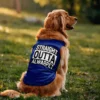Straight Outta Alwarpet Dog Tank in Royal Blue Color