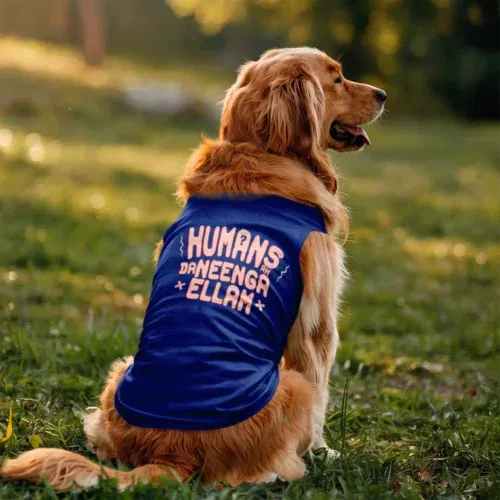 Humans ah da neenga ellam? Dog tank in royal blue color