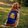 Jamin, Kadal Laye Illayam Dog Tank in Royal Blue Color